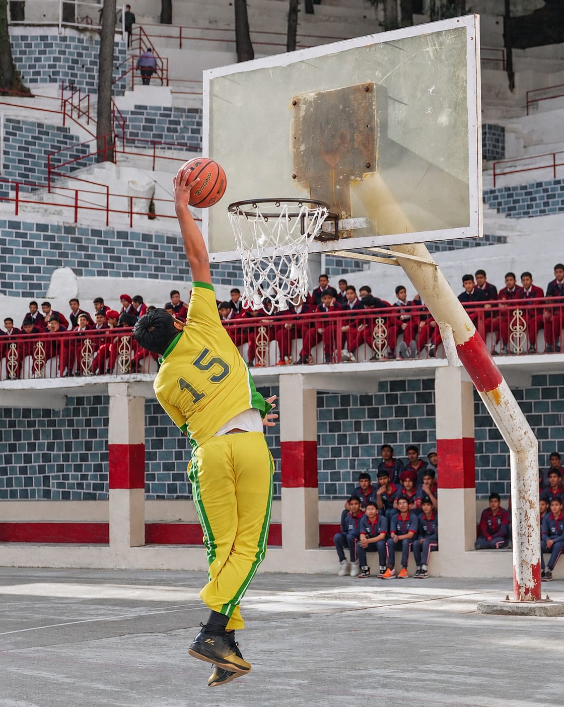 Sport and movement