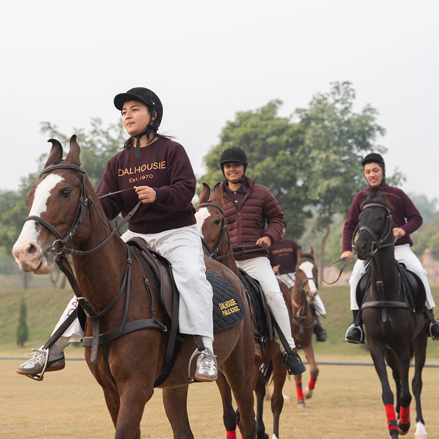 Horse and rider